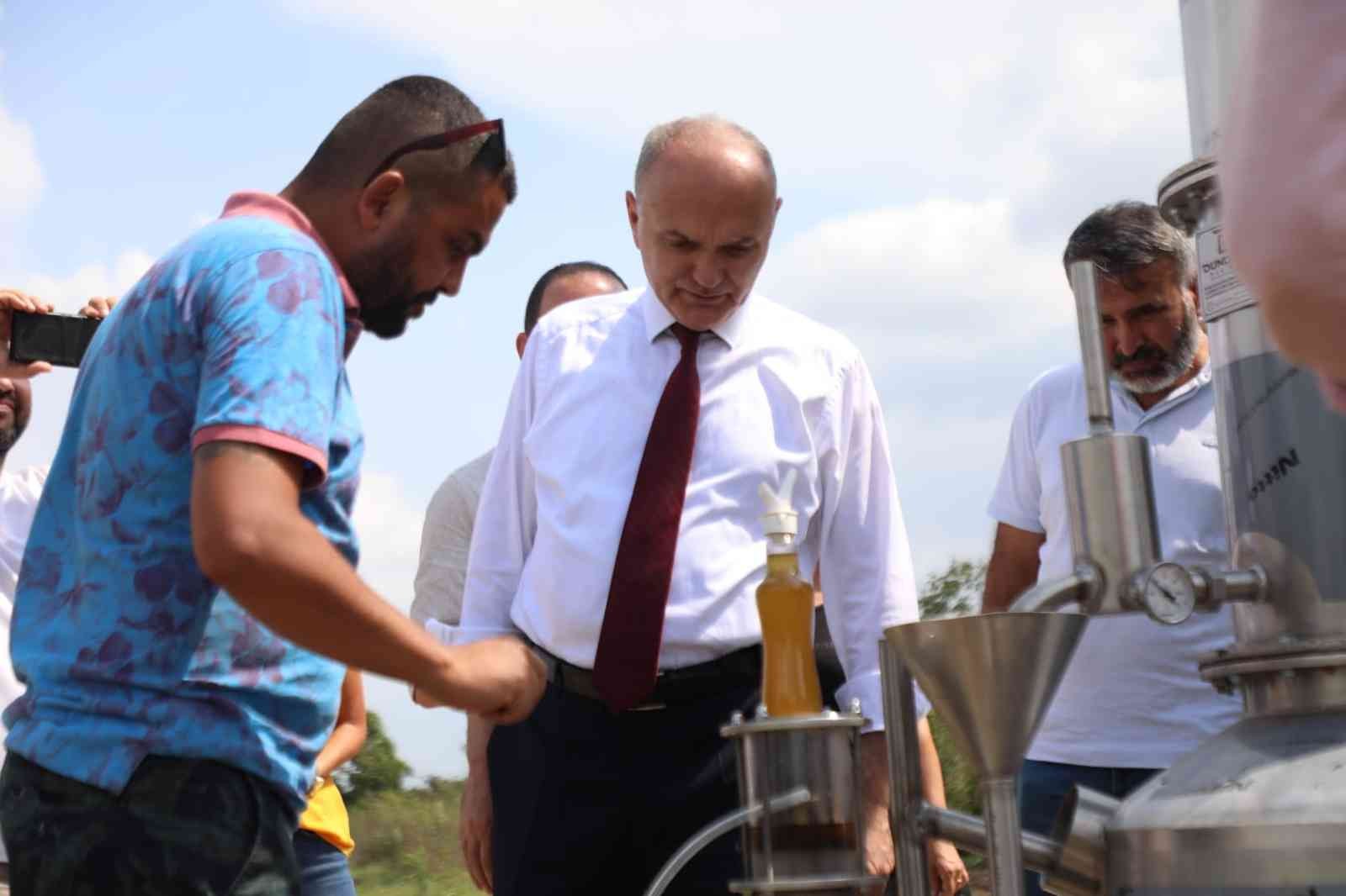 Tıbbi aromatik bitkiler ekonomiye kazandırılıyor