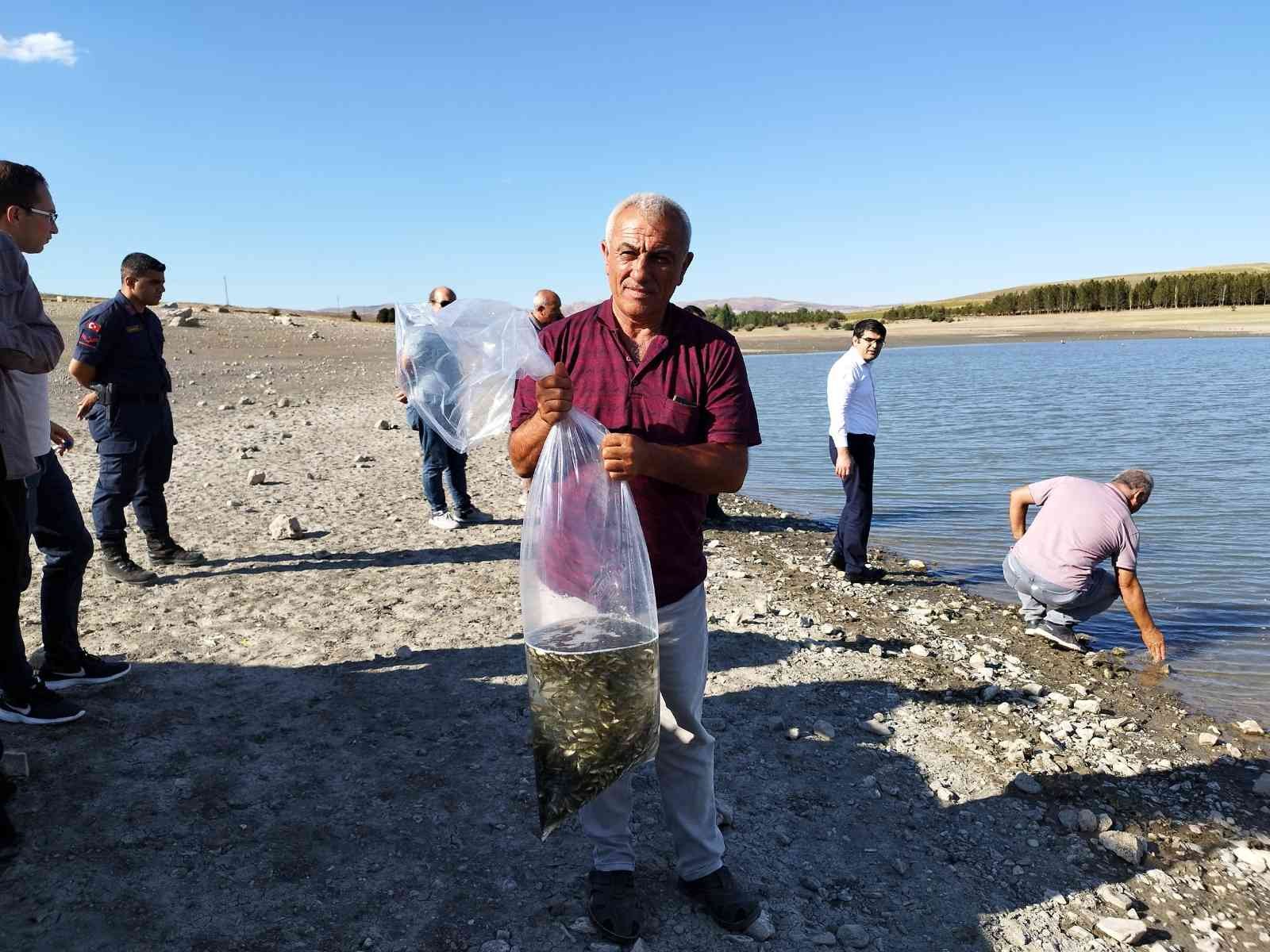 Yüz bin adet sazan yavrusu göletlere bırakıldı