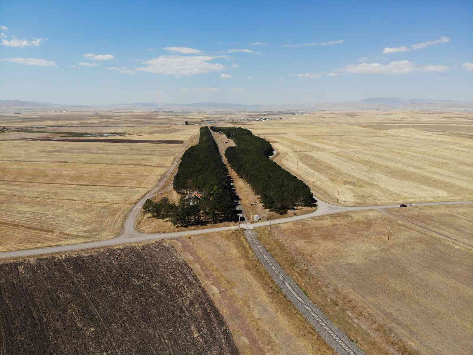 Kars’ta bozkırın ortasındaki ‘vaha’ büyülüyor