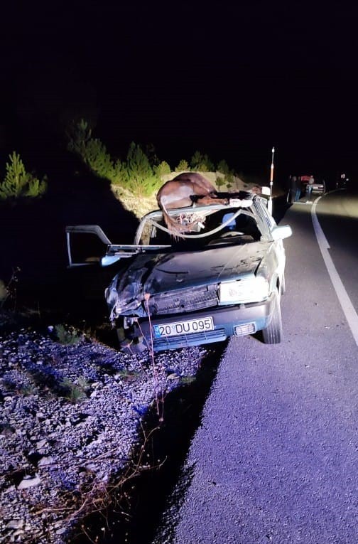 Aracın tavanına düşen eşek, babanın ölümüne neden oldu