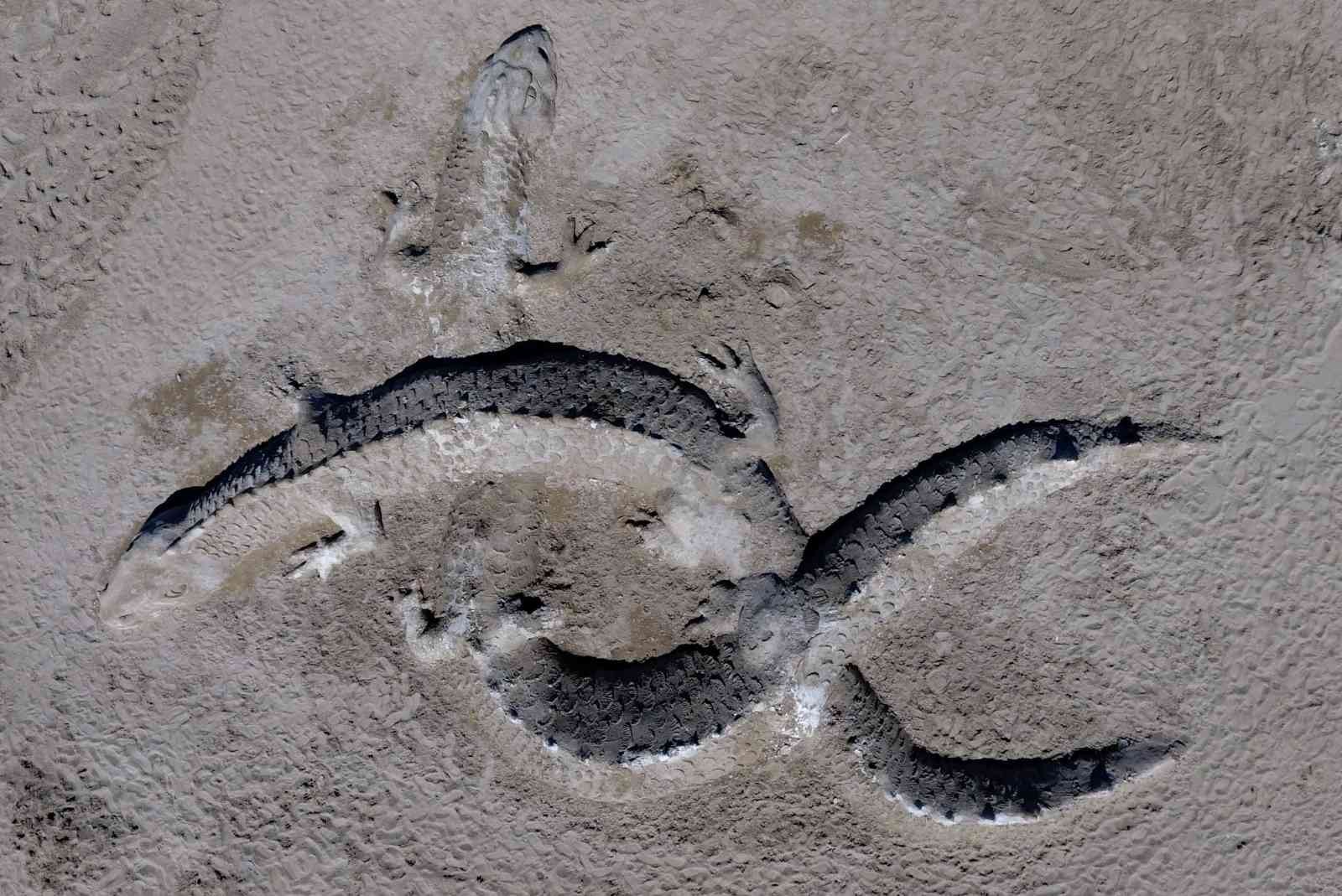 Çanakkale sahillerinde kumdan ejderha