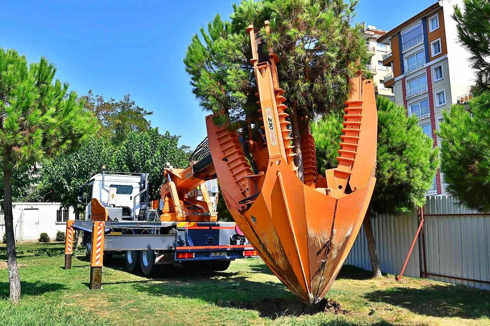 Buca Metrosu inşaatı sürüyor: Ağaçlar taşınarak koruma altına alınıyor