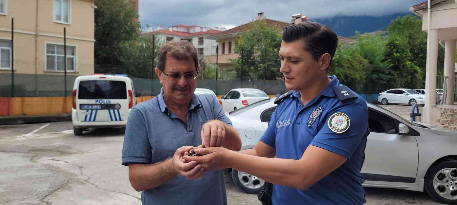 Ender rastlanan halkalı küçük cılıbıt kuşuna polis şefkati