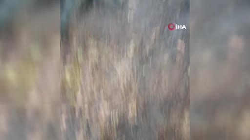 Tekirdağ’da 110 kovanlık arıcılık tesisi kül oldu