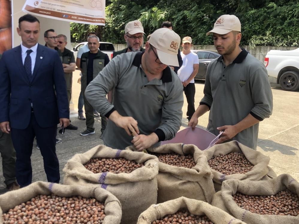 Serbest piyasada 46 lira olan fındığı randıman farkı ile TMO’ya 57.75 liradan sattı