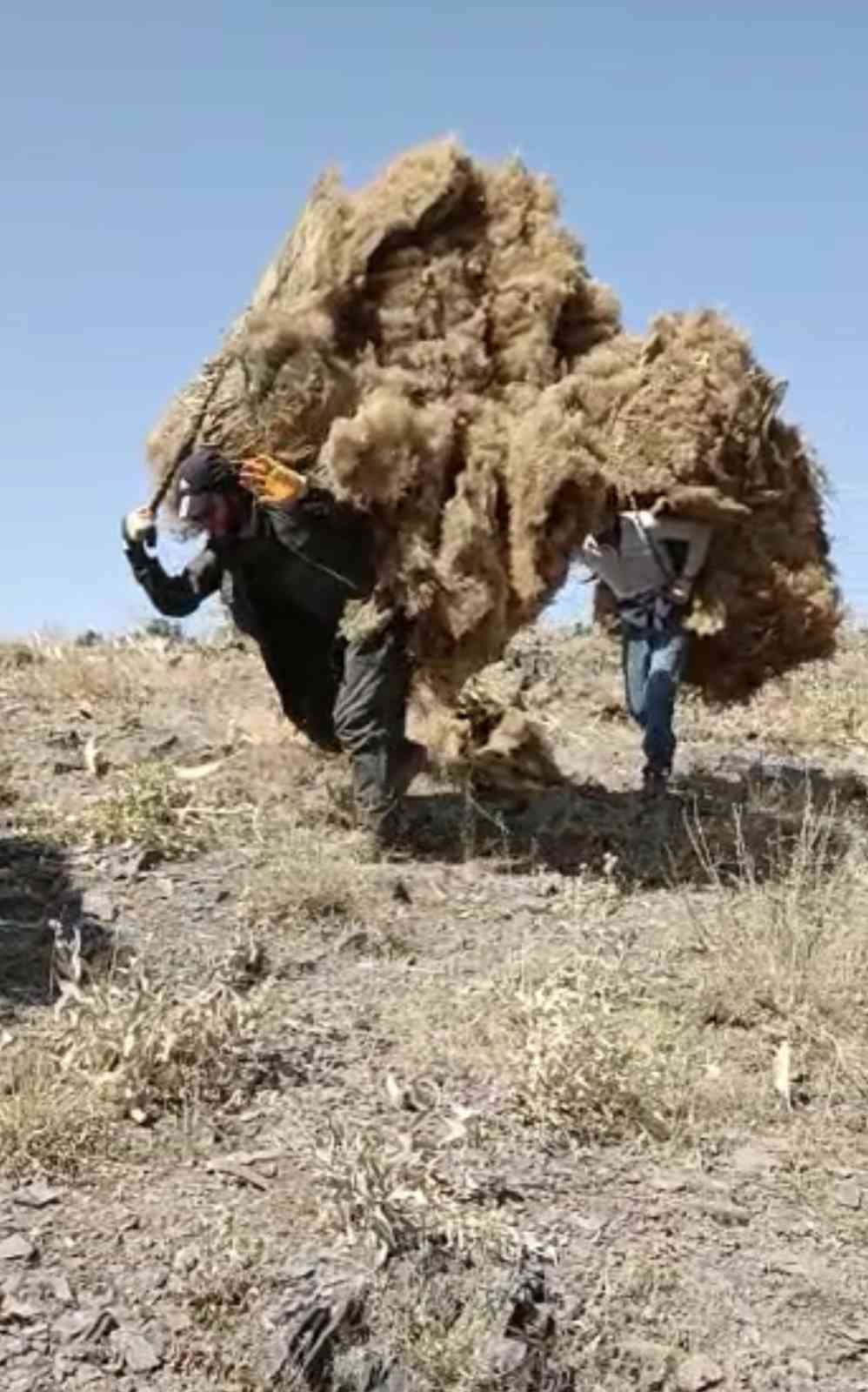 Şırnak’ta çiftçilerin zorlu kış hazırlığı başladı