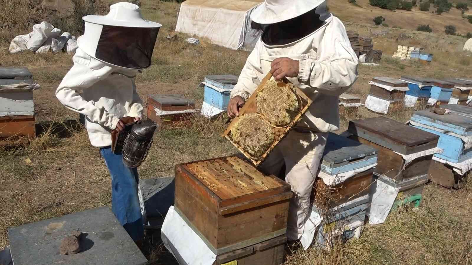 Muş’ta 630 ton bal hasadı bekleniyor