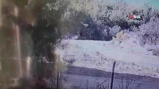 PKK’nın talimatıyla ormanı yakan sanığa ağırlaştırılmış müebbet hapis