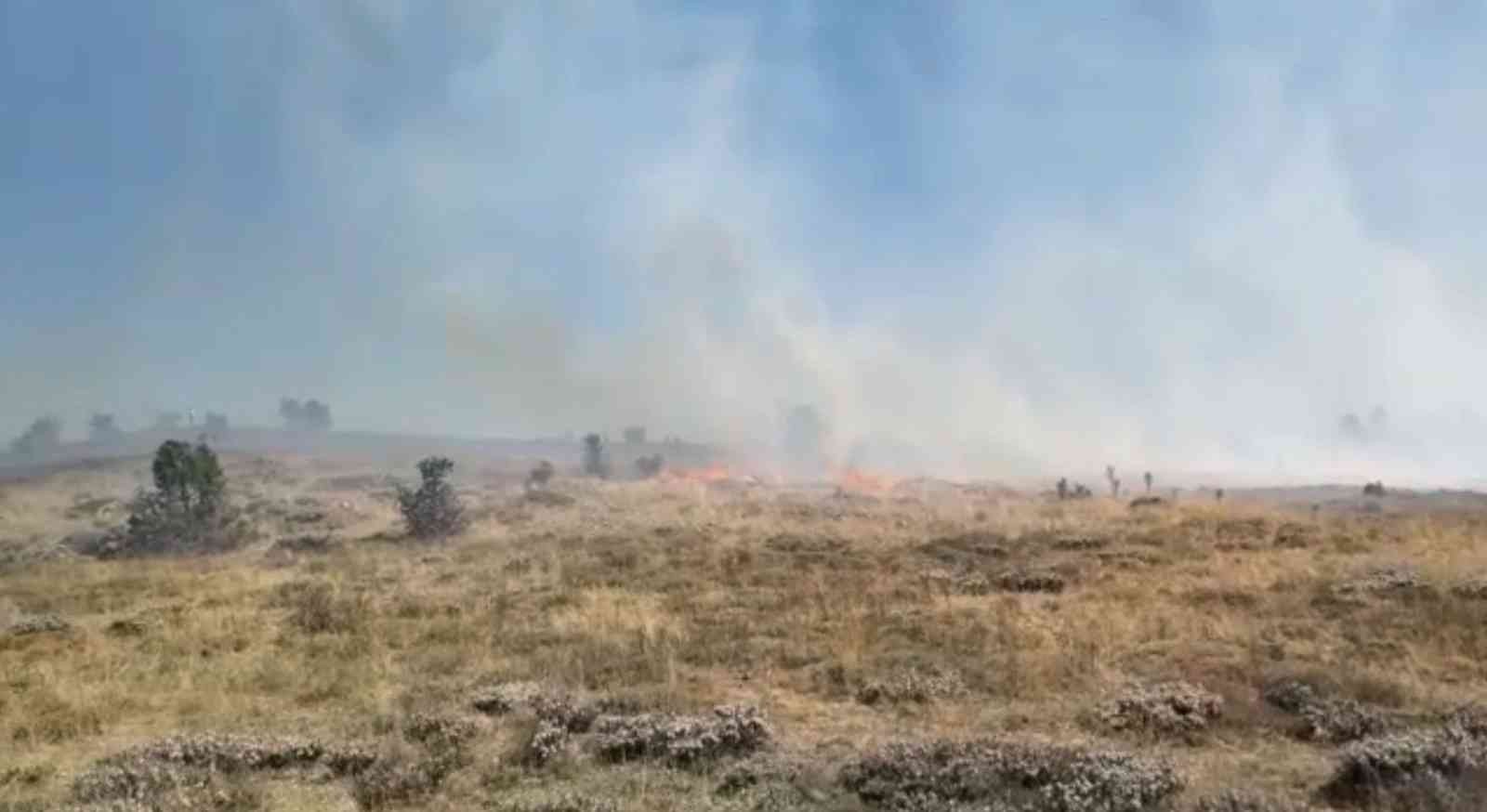 Giresun’da örtü yangını, ormana sıçramadan kontrol altına alındı