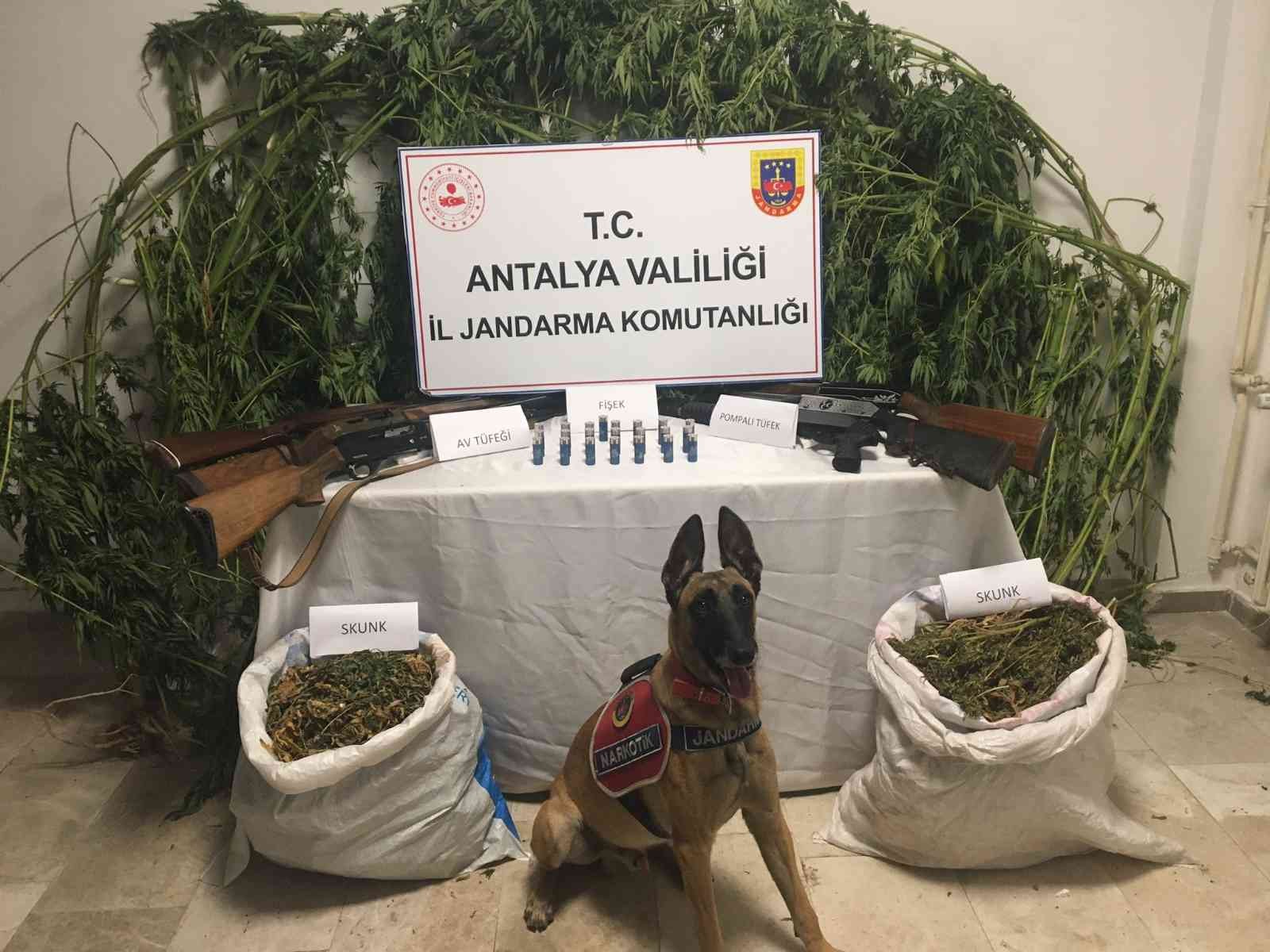 Antalya’da zehir tacirlerine jandarmadan operasyon