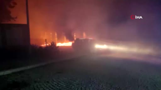 Spil Milli Parkı’nda korkutan yangın