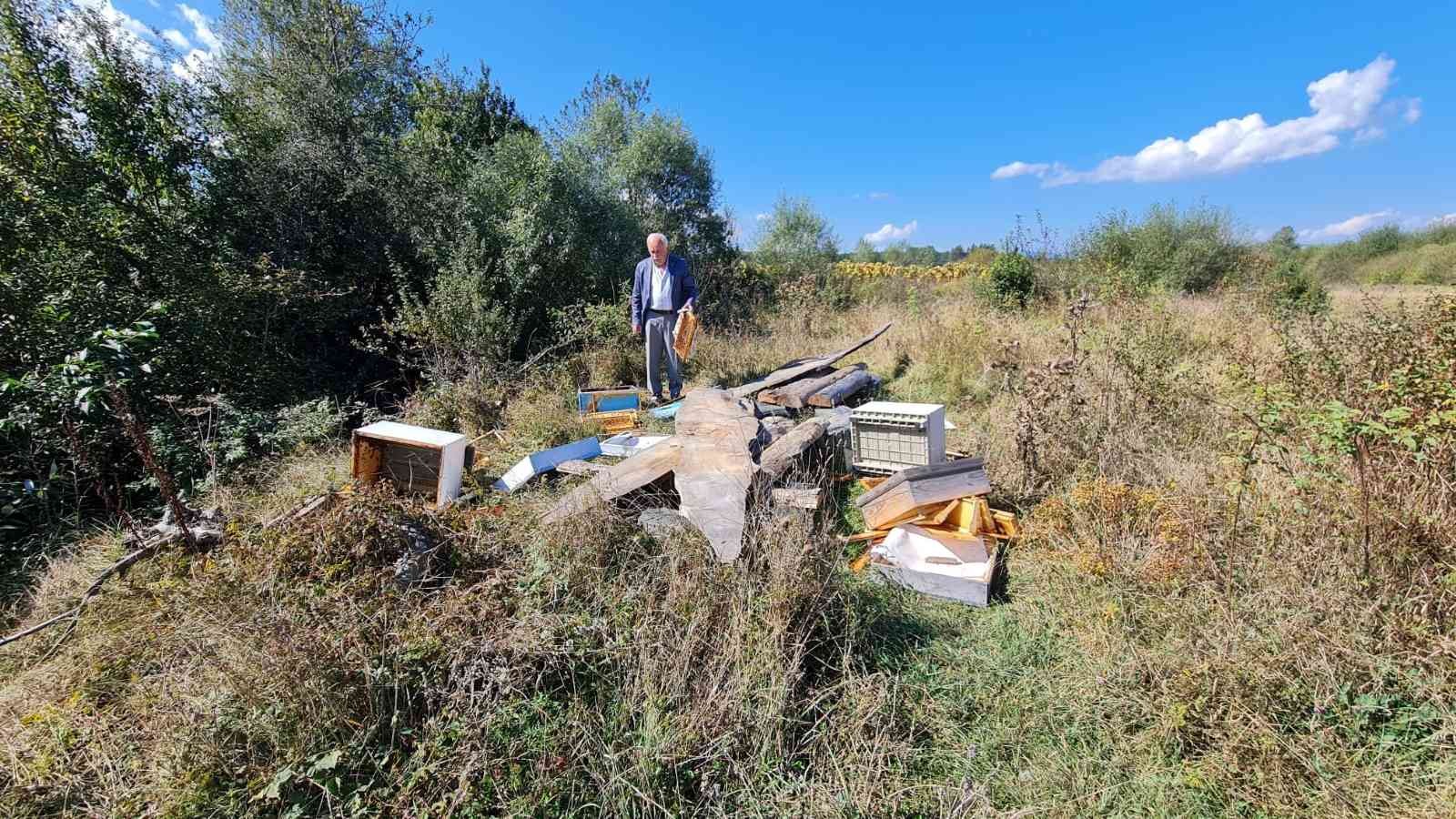 Kastamonu’da ayılar arı kovanlarını parçaladı