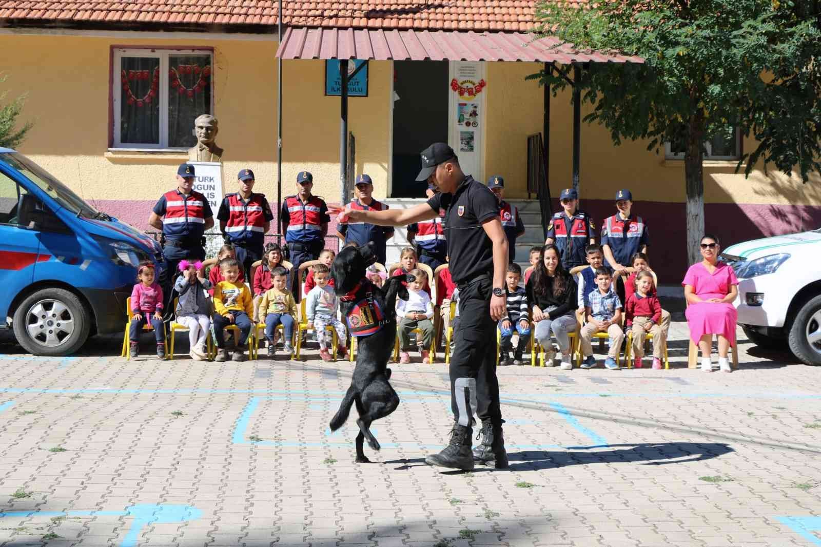 Jandarmadan Hayvanları Koruna Günü etkinliği