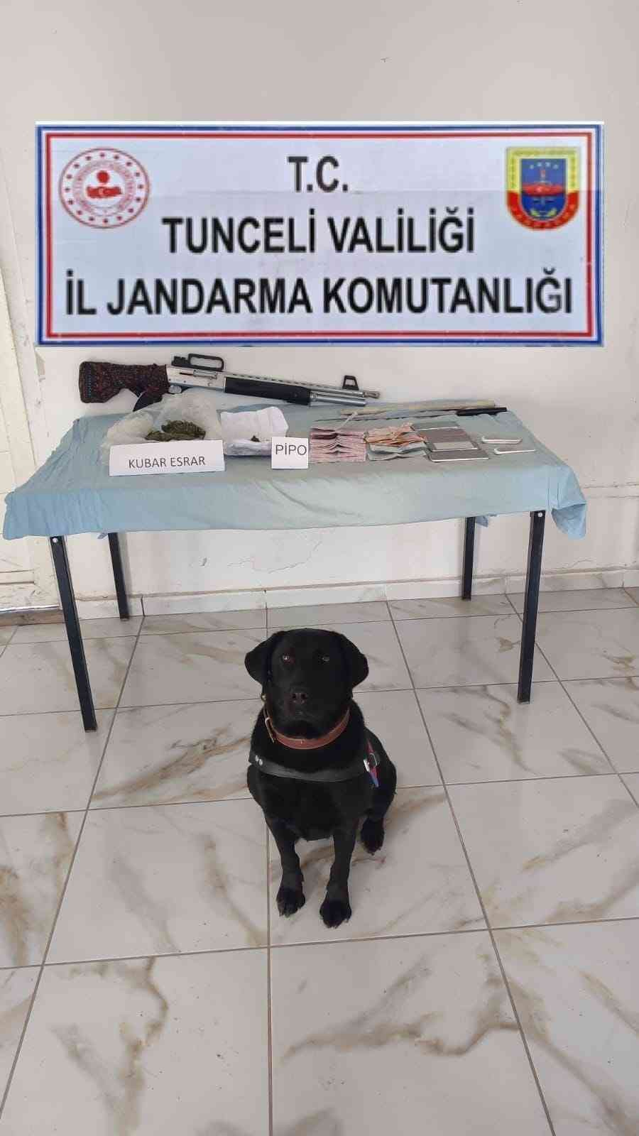 Tunceli’de uyuşturucu operasyonu: 1 gözaltı
