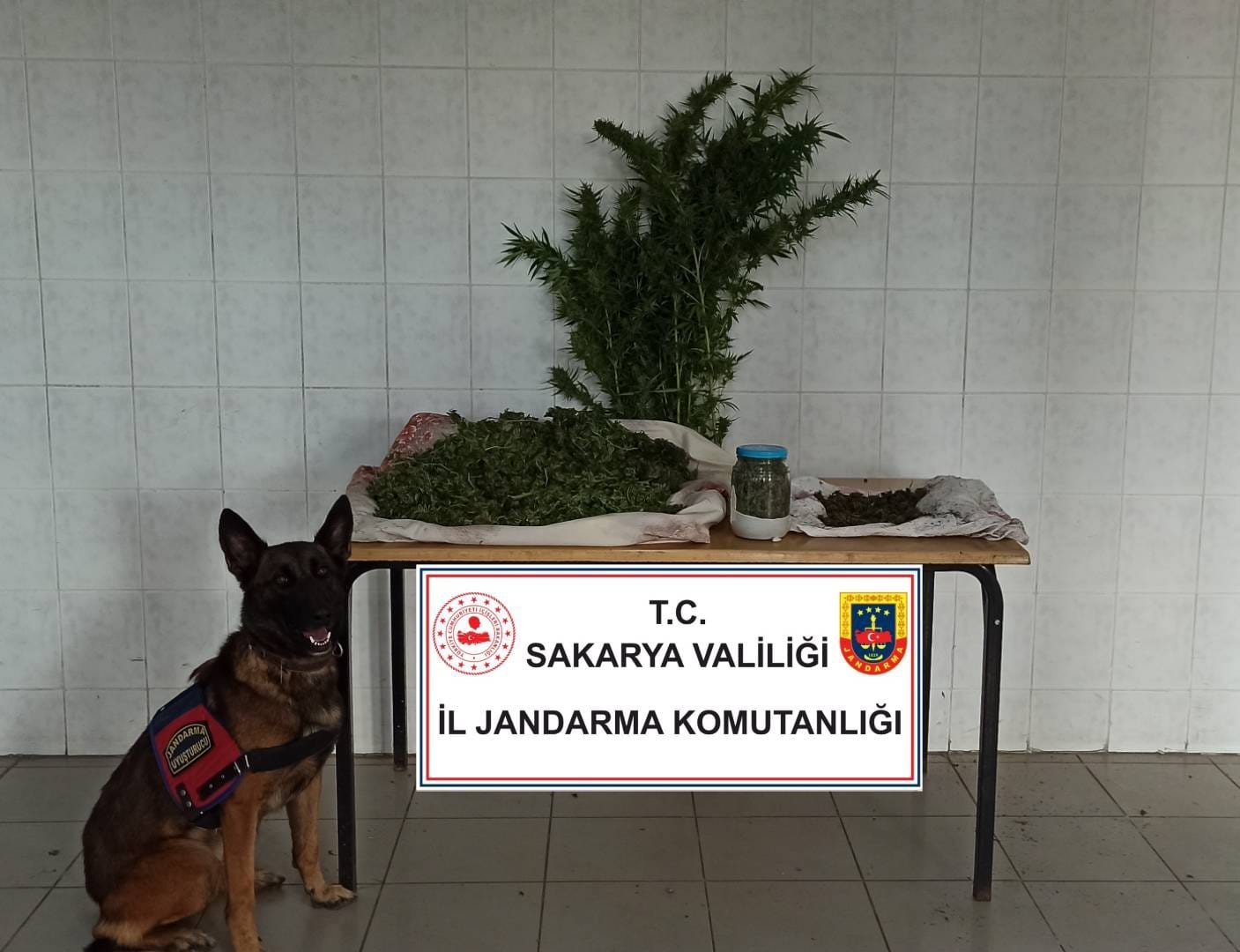 Sakarya’da jandarma ekipleri uyuşturucuya geçit vermiyor