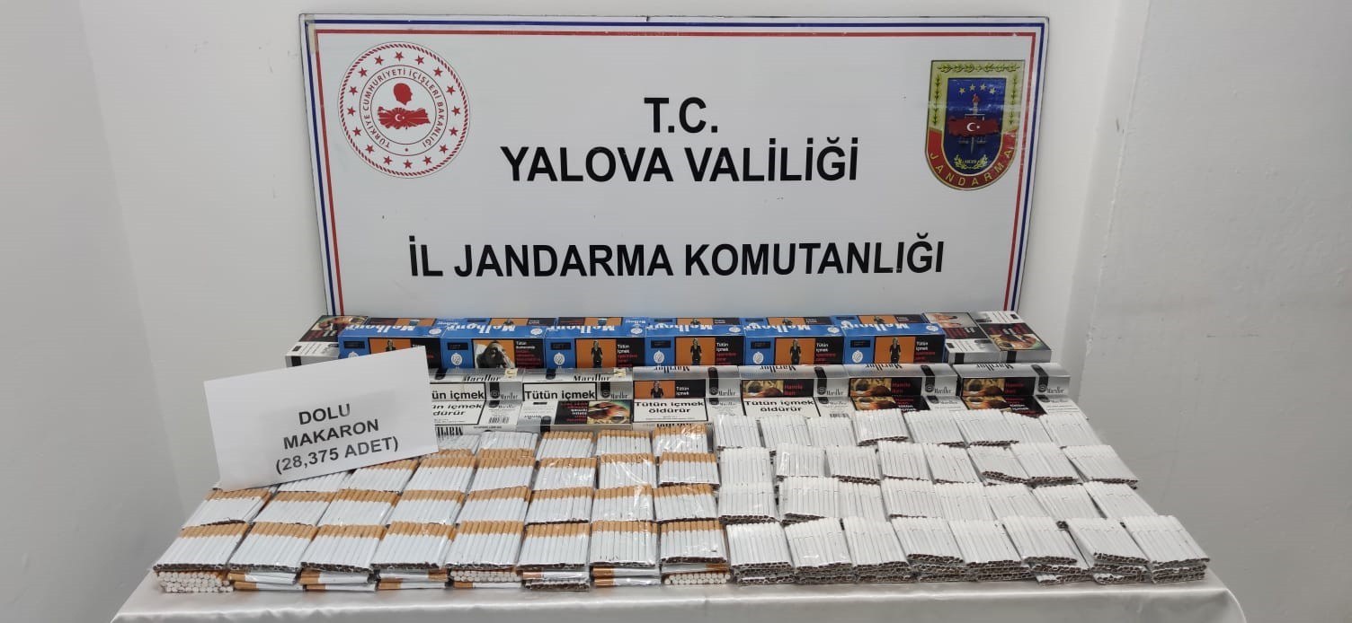 Yalova’da jandarmadan kaçak sigara operasyonu