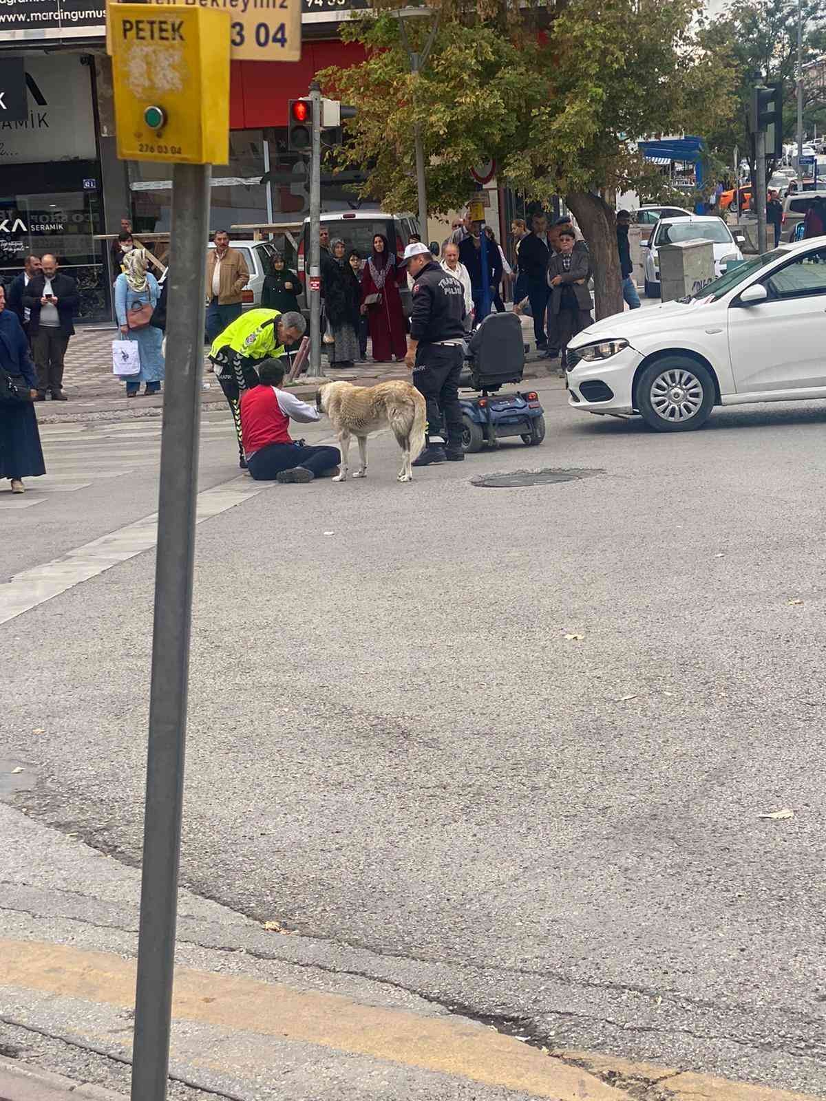 Sokak köpeği otomobilin çarptığı vatandaşın başından ayrılmadı