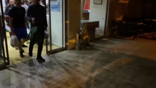 Marmaris’te bir otelde  66 düzensiz göçmen yakalandı