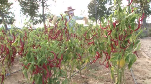 Selçuklu çocuklar, ’İklim Atölyeleri’ ile geleceği kurtaracak