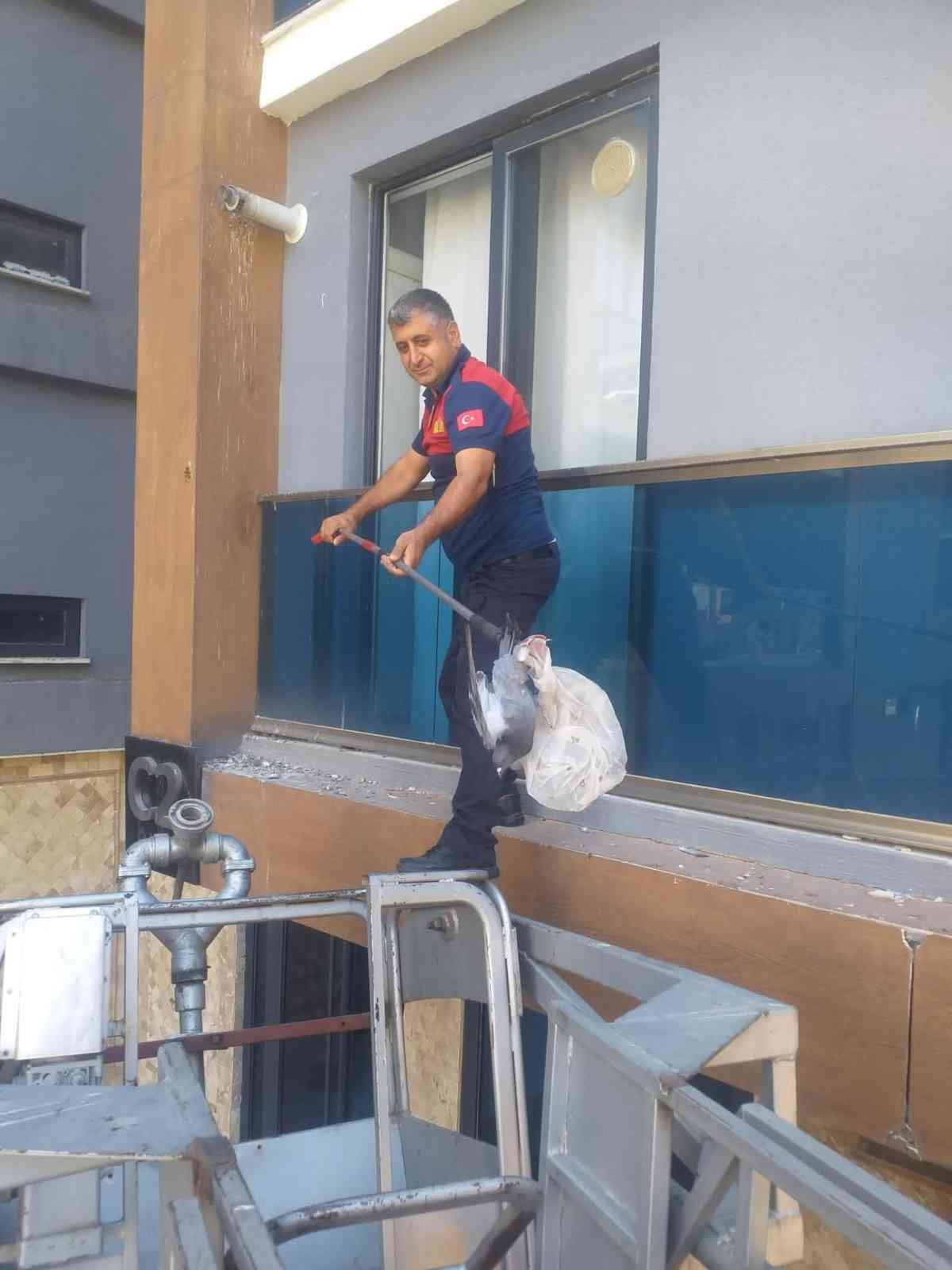 Mahsur kalan güvercini itfaiye ekipleri kurtardı