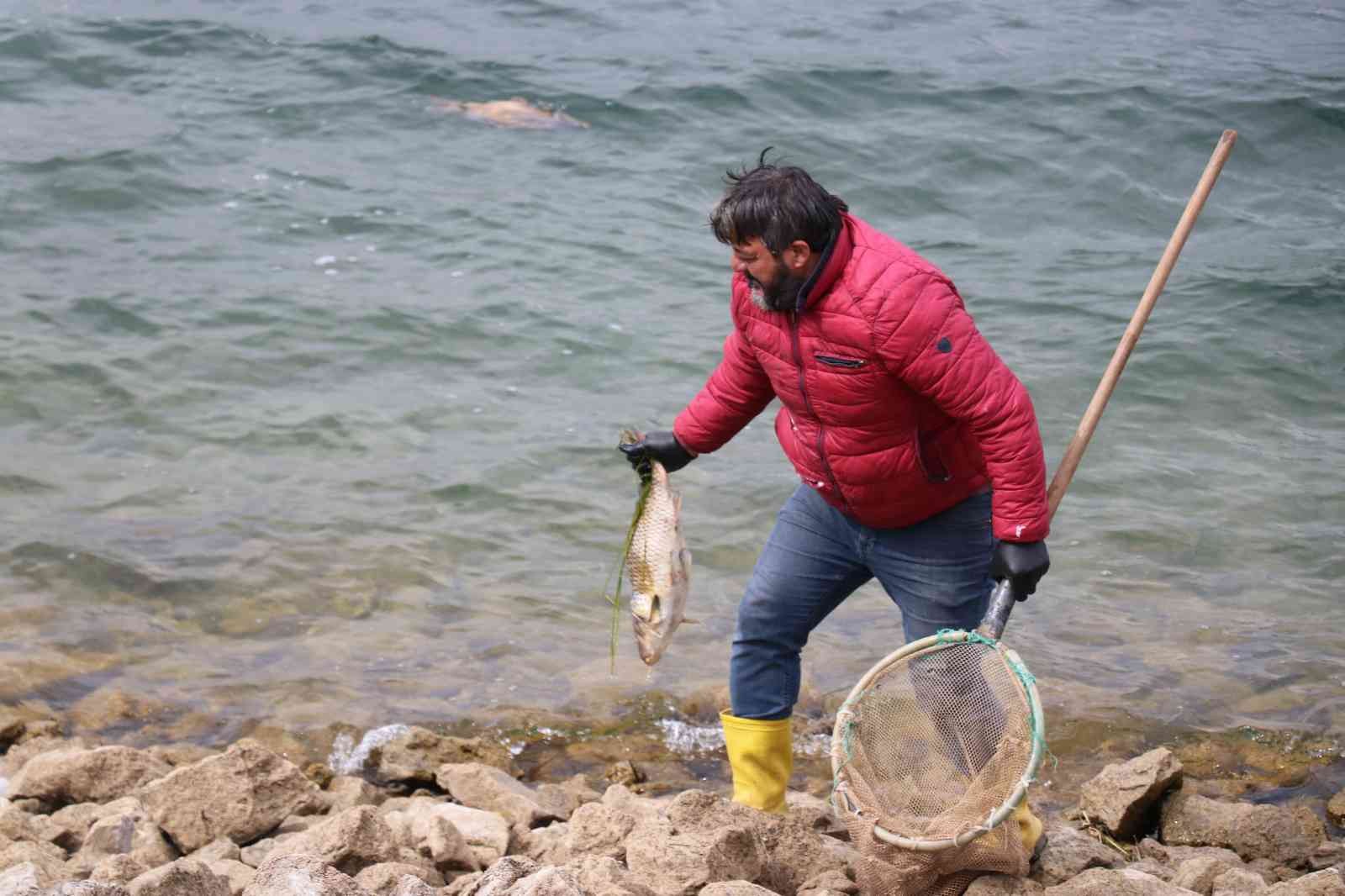 Bolu’da balık ölümlerine ilişkin adli soruşturma başlatıldı