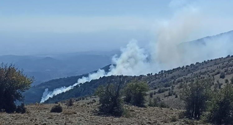 İzmir’de ormanlık alandaki yangın kontrol altında