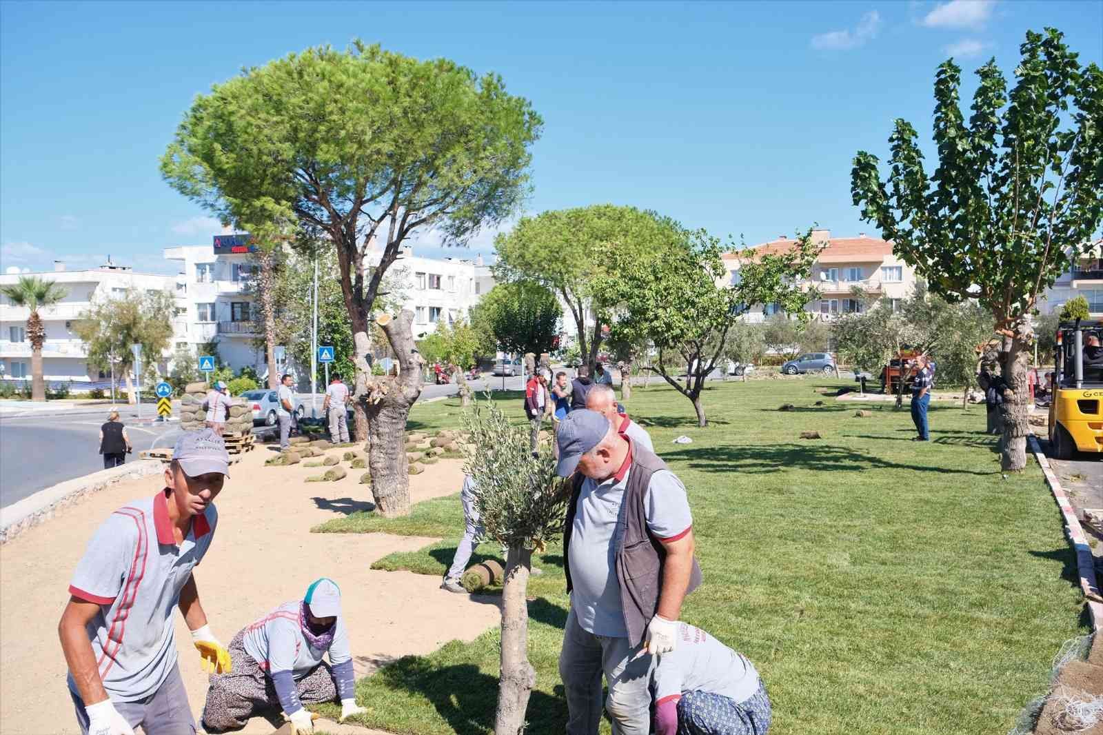 Ayvalık artık çok daha yeşil