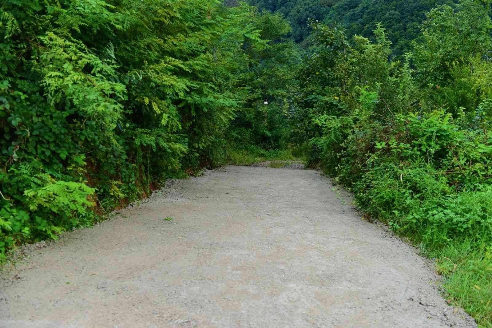 Ordu’da engelli ve yaşlı kadının ulaşım sorunu çözüldü