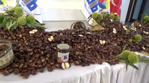 Aydın’da sezonun ilk kestanesi 250 TL’den alındı