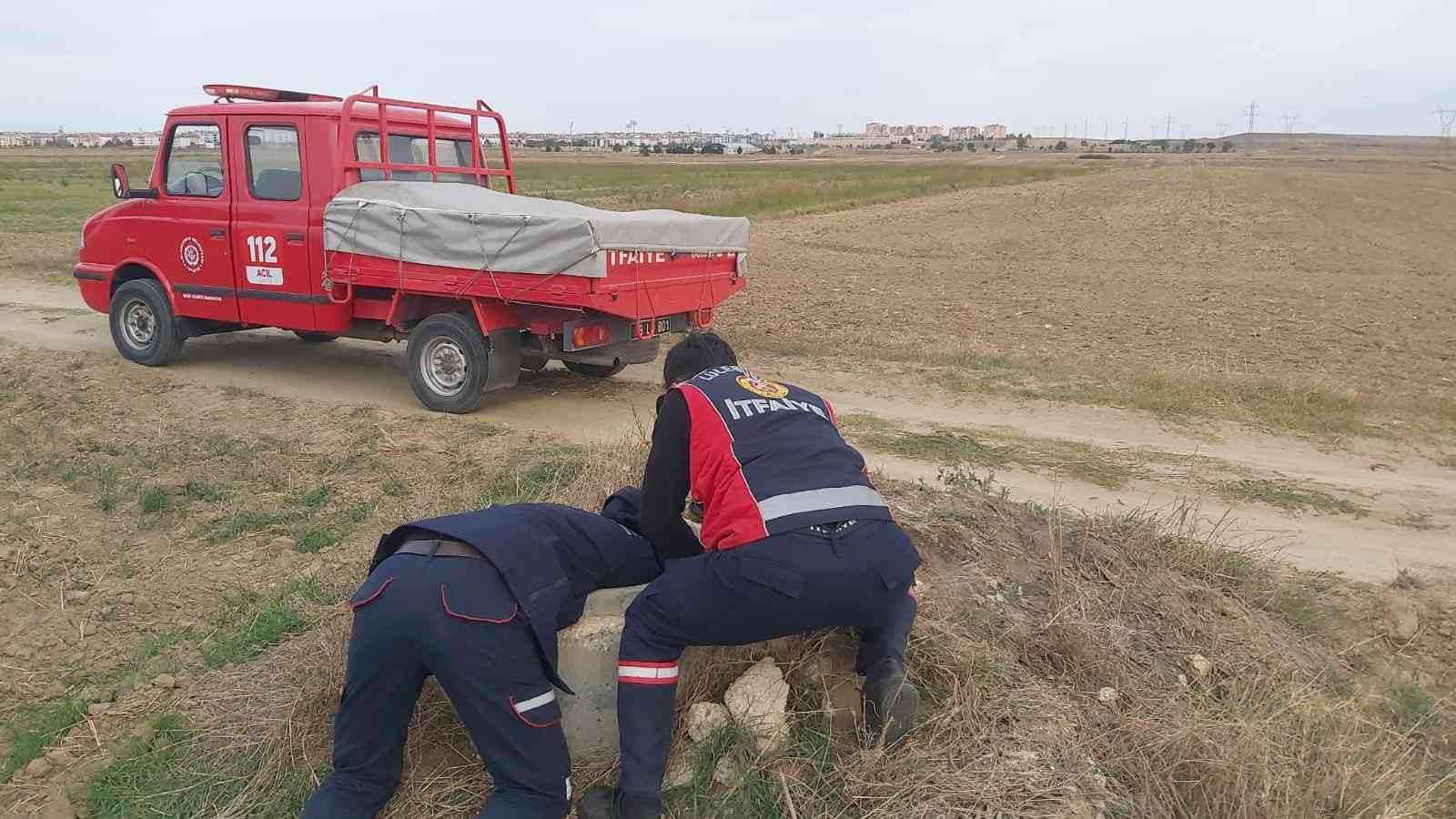 Su kuyusuna düşen köpek kurtarıldı