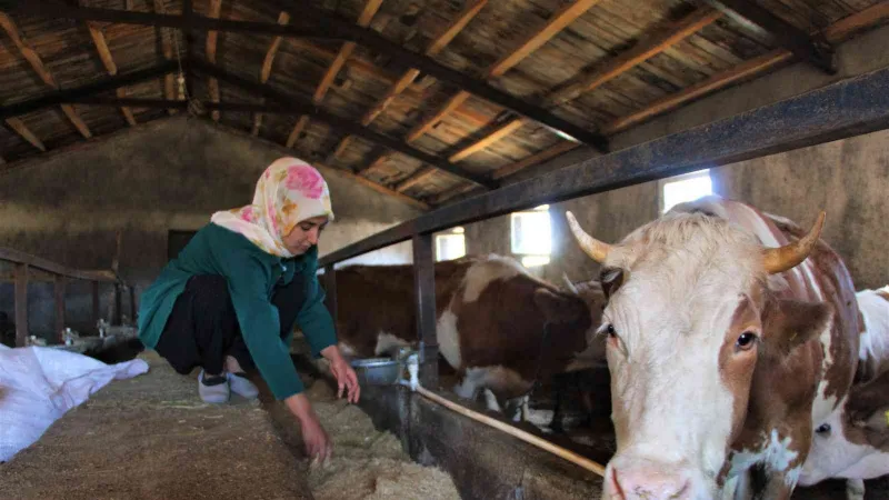 Üniversiteyi bitirdi, devletten aldığı destek ile genç yaşta besici oldu