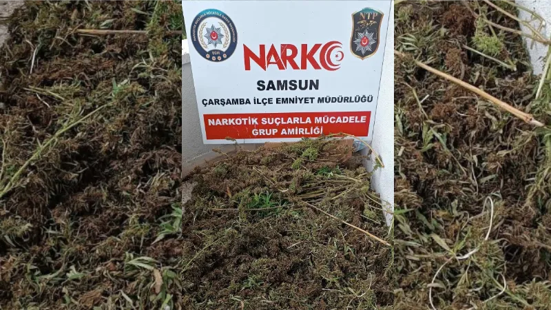 Samsun’da 9 kilo 975 gram esrar ele geçirildi: 8 gözaltı