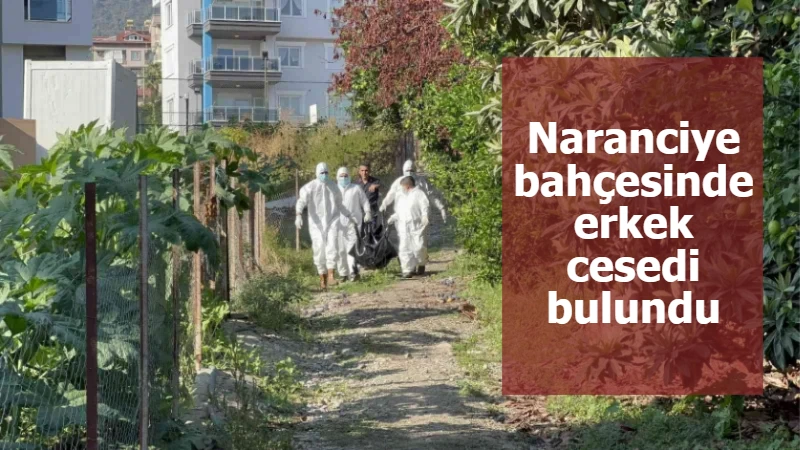 Naranciye bahçesinde erkek cesedi bulundu