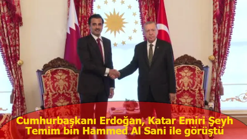 Cumhurbaşkanı Erdoğan, Katar Emiri Şeyh Temim bin Hammed Al Sani ile görüştü