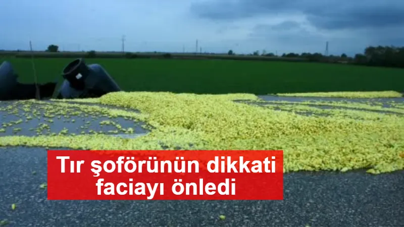 Tır şoförünün dikkati faciayı önledi