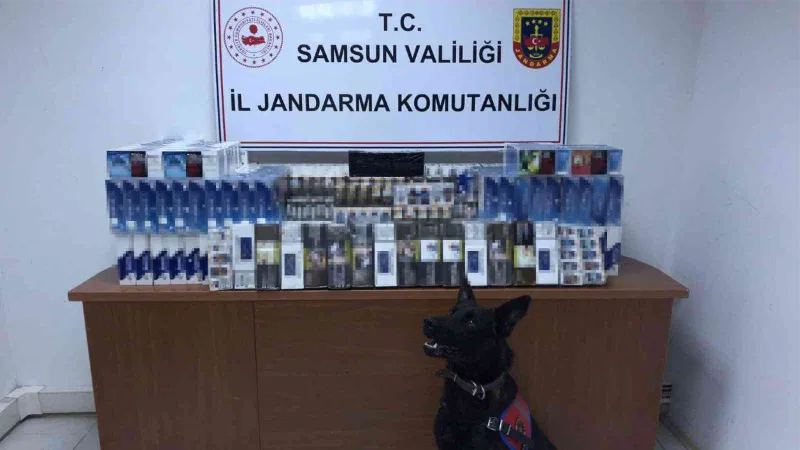 Samsun’da araçta 60 bin dal makaron ele geçirildi