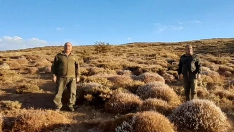 Elazığ’da yasadışı avcılık yapan 1 kişiye idari işlem uygulandı