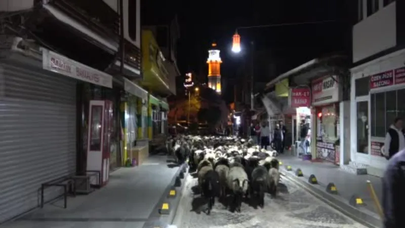Şehir merkezinden koyun sürüsü geçti, trafik durdu