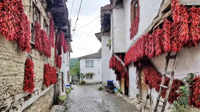 100 fotoğraf sever ve fotoğraf sanatçılarının rotası Bilecik oldu