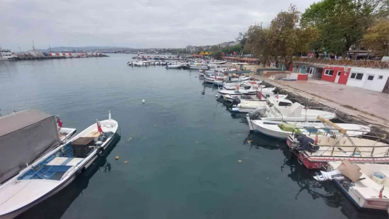 10 günlük esaret bitti: Şimdi de yunuslarla başları belada