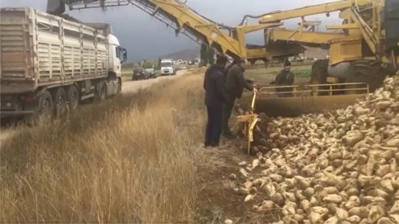 Bayburt’ta bu yıl hedeflenen şeker pancarı üretimi 100 bin ton