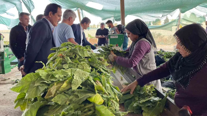 Milletvekili Tutdere, köylülerin sorunlarını dinliyor