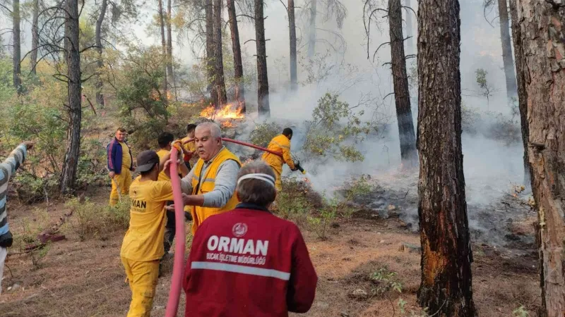 Bucak’ta çıkan orman yangını büyümeden kontrol altına alındı