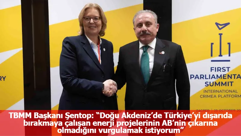 TBMM Başkanı Şentop: “Doğu Akdeniz’de Türkiye’yi dışarıda bırakmaya çalışan enerji projelerinin AB’nin çıkarına olmadığını vurgulamak istiyorum”