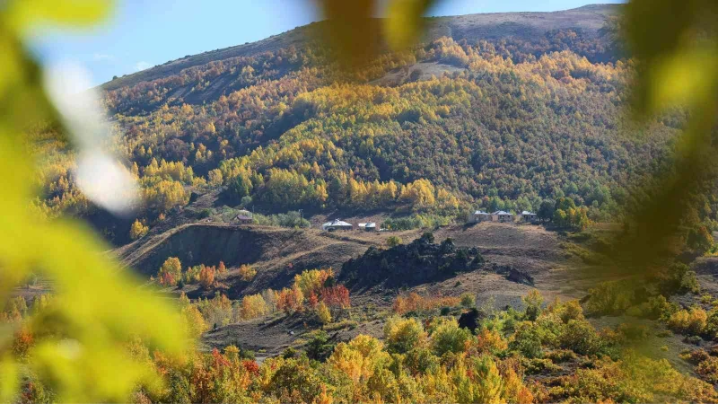 Sonbahar renklerine bürünen Tunceli’de doğa, görsel şölen sunuyor