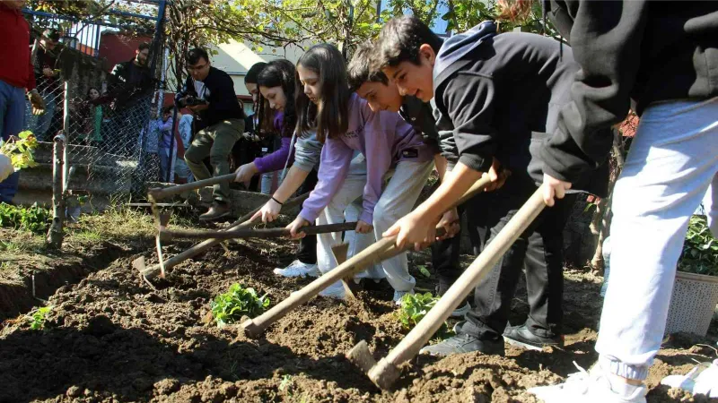 Üretimin önemini anlatmak için öğrencilere tarlada uygulama çilek diktirildi