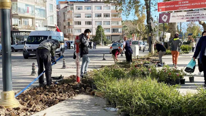 Sinop meydanında peyzaj çalışmaları sürüyor