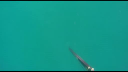 Zıpkınla avlanırken bulduğu küp Sahil Güvenlik ekipleri gözetiminde çıkartıldı