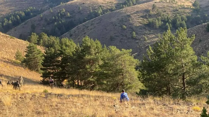 Kayıp olarak aranan şahsın cesedi ormanlık alanda bulundu