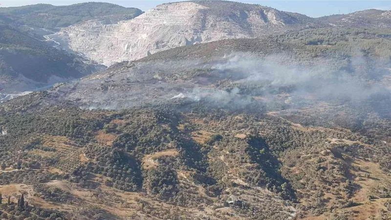 Aydın’da makilik ve zirai alandaki yangın kontrol altına alındı